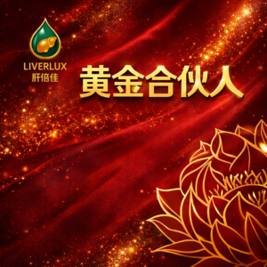 黄金合伙人套装